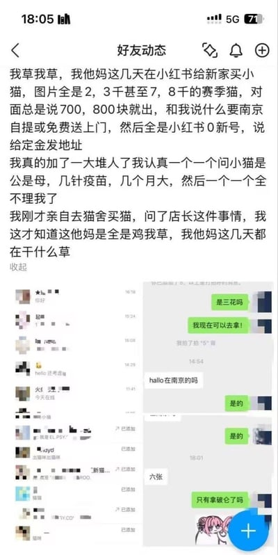 社交媒体好友动态截图，内容为用户分享在小红书购买小猫时遭遇的低价骗局：卖家以700-800元低价出售价值数千元的赛季猫，要求南京自提或免费上门，均为零粉丝新号，要求定金和地址。用户添加多名卖家后询问小猫性别、疫苗、年龄等信息，均遭无视。后续用户前往猫舍得知是骗局。截图下方包含多段与卖家的聊天记录，显示“是三花吗”“我现在可以去拿!”“在南京的吗”等对话，头像均已模糊处理。