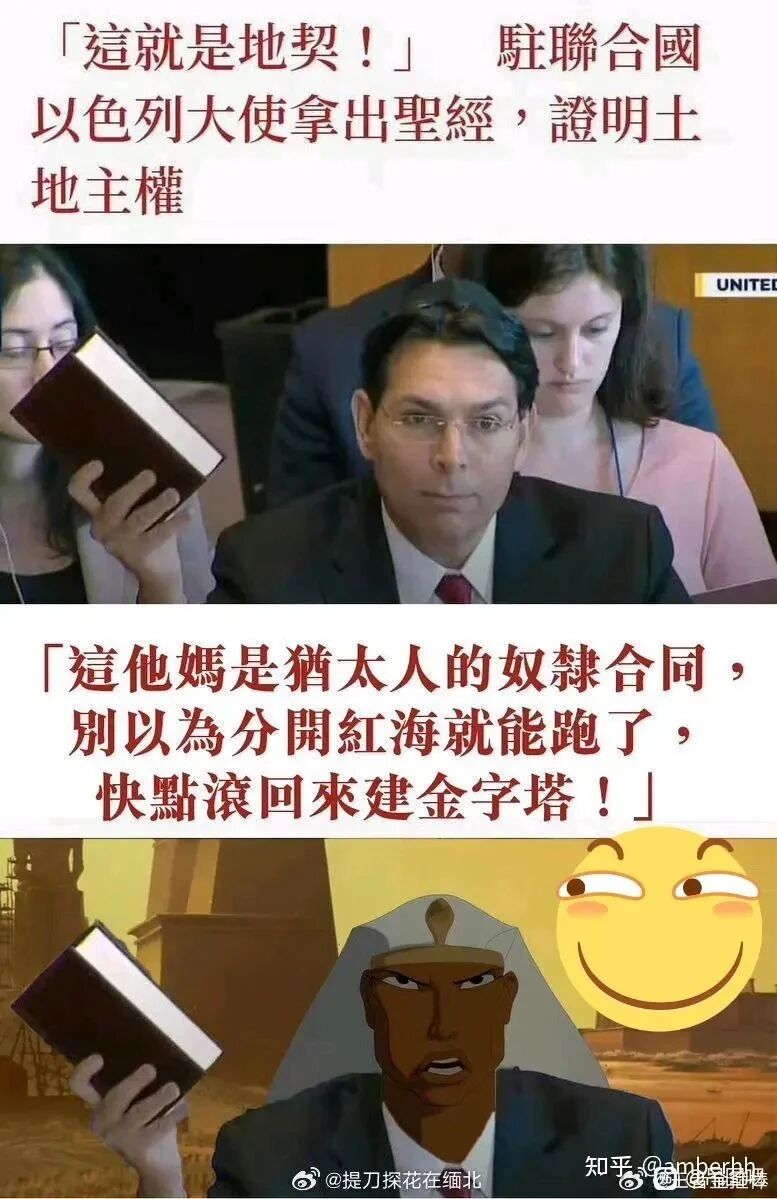 驻联合国以色列大使