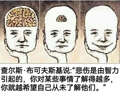 这是一张三格连环梗图，左侧格子中人物头部内有完整的大脑，表情严肃；中间格子大脑体积缩小，表情依旧严肃；右侧格子大脑消失，人物露出微笑。图片下方配有查尔斯·布可夫斯基的名言：'悲伤是由智力引起的，你对某些事情了解得越多，你就越希望自己从未了解他们。' 通过大脑体积逐渐减小（象征智力降低）而表情逐渐愉悦的对比，幽默地诠释了名言中'知道越少越快乐'的讽刺意味。
