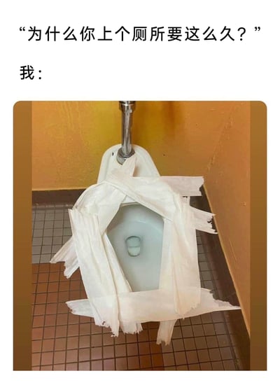 这是一张趣味梗图，通过图文结合的方式呈现。上方文字为他人的提问：“为什么你上个厕所要这么久？”，下方的图片展示了一个公共厕所的马桶，马桶圈被大量卫生纸交叉缠绕包裹，以此夸张地解释上厕所久的原因——为了使用公共马桶时更卫生，花费大量时间用卫生纸处理马桶，用这种生活化的洁癖场景制造搞笑效果，引发有类似卫生顾虑的人的共鸣。