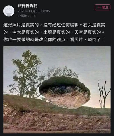 这是一张利用视觉错位拍摄的创意照片，正看时会产生“悬浮岩石顶部生长植物”的错觉，搭配旁边的树木与土坡，营造出违背物理常识的场景。按照提示将图片颠倒后就能发现，所谓的“悬浮岩石”其实是一个倒过来的土坡断面，顶部的植物是土坡上的植被，整个场景是完全真实的户外地貌，没有任何后期编辑，所有的违和感都来自视角的误导。