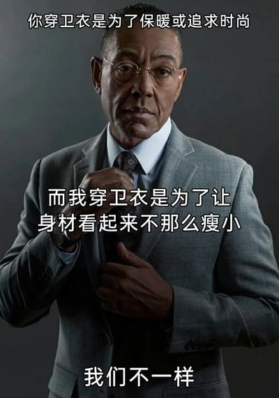 图片中是一位穿着灰色西装、戴着眼镜的中年男性，他正用手调整领带，表情严肃，背景为深色。图片上方、中间和下方分别叠加了白色文字：“你穿卫衣是为了保暖或追求时尚”“而我穿卫衣是为了让身材看起来不那么瘦小”“我们不一样”。通过对比两种穿卫衣的不同动机，以幽默自嘲的方式展现个人差异。