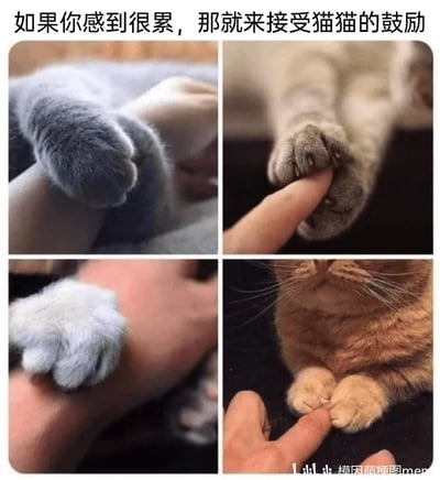 这是一张由四张真实萌宠照片拼接而成的静态图，顶部配有文案“如果你感到很累，那就来接受猫猫的鼓励”。四张图分别展示了不同品种的猫咪——灰色猫、虎斑猫、浅灰色猫、橘猫，用它们的爪子握住或搭在人类的手指、手腕上，动作类似握手、击掌，传递出温暖治愈的感觉，旨在通过萌宠的可爱互动，安抚疲惫的人，给予心灵上的慰藉。