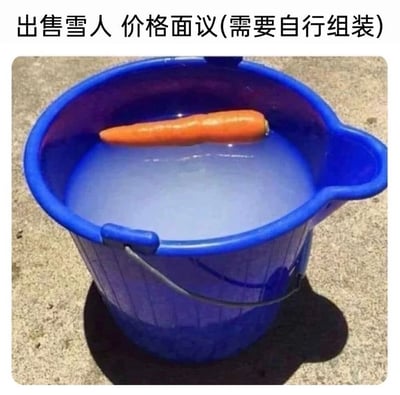 一张搞笑梗图，画面中是一个装满水的蓝色水桶，水面上漂浮着一根胡萝卜。图片上方配有文字'出售雪人 价格面议(需要自行组装)'，通过幽默的方式暗示所谓的'雪人'其实只是水桶里的水（未来可能结冰）和作为雪人头鼻的胡萝卜，需要买家自己用这些材料制作雪人。这种'货不对板'的销售方式产生了喜剧效果。