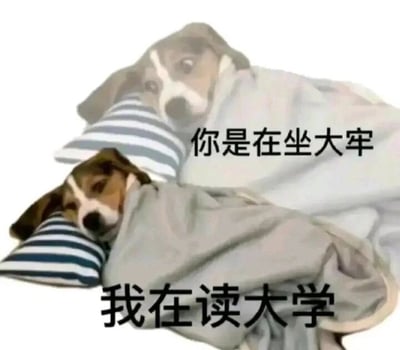 这是一张上下对比的静态梗图，图中是两只外观相似的狗狗，都裹着浅灰色毯子、枕着蓝白条纹枕头，姿态慵懒。上方的狗狗眼神略带茫然，配文“你是在坐大牢”；下方的狗狗眼神疲惫慵懒，配文“我在读大学”。图片通过将大学生活与“坐大牢”进行类比，用自嘲且幽默的口吻，调侃当代大学生可能面临的学业压力、校园生活的束缚感，以此在学生群体中引发共鸣，是一种贴合年轻人情绪的趣味表达。