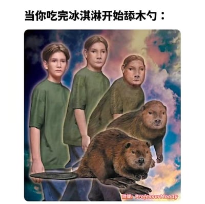 这张梗图通过渐变合成的视觉效果，展示了一名穿绿色T恤的人类男孩逐步变形为海狸的完整过程，图上方配文“当你吃完冰淇淋开始舔木勺：”，用这种夸张的形式调侃人类舔冰淇淋木勺的动作和海狸啃咬木头的习性高度相似，以沙雕的反差感放大日常小行为的趣味，让人会心一笑。