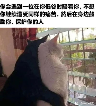 这是一张图文混排的静态单图，画面主体是一只黑猫与一只白猫相互依偎着，一同望向窗外的景色，画面上方配有一段充满温度的文字：“你会遇到一位在你低谷时陪着你，不想你继续遭受同样的痛苦，然后在身边鼓励你、保护你的人”，传递出对在人生低谷时能获得温暖陪伴的美好期许，图片右下角带有“@meme图吧”的水印，整体氛围温馨治愈，能给身处低落情绪中的人带来慰藉。