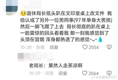 这是一张社交媒体截图，展示了一段职场尴尬趣事。一位用户分享自己在文印室误将低头改文件的退休局长认成97年单身男同事，一脚飞踢上去，导致局长震惊回头。用户形容自己当时“头顶冒烟，浑身熟透”，下方还有疑似局长的回复“果然人走茶凉啊”，充满幽默与无奈的反差感。