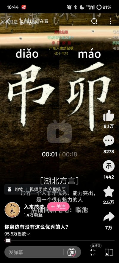 这是一张社交媒体短视频的手机屏幕截图，画面主体为深色背景上的两个大型书法字体“吊卯”，上方标注拼音“diǎo máo”。视频进度条显示当前播放至00:01/00:18，界面底部有互动数据：8.1万点赞、8278条评论、1442次分享、2.5万收藏。文字说明部分指出“[湖北方言] 形容一个人非常优秀、能力突出，是一个很有魅力的人”，并配有引导关注账号“入木书法”（1.4万粉丝）的提示，顶部可见平台搜索栏及视频标题“书法 你认识吗正在看”。