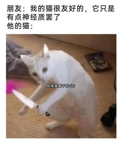 这是一张反差感拉满的搞笑网络梗图，上方文字是朋友对自家猫的描述：“我的猫很友好的，它只是有点神经质罢了”，下方是经过创意P图的白猫——猫咪被修改成类似人类的姿势，双手握着一把P上去的刀具，表情警惕且带着敌意，同时配文“你来我家干什么？”。图中通过夸张的视觉效果，将“神经质”的猫咪形象具象化，和朋友口中“友好”的描述形成强烈反差，用幽默的方式调侃猫咪阴晴不定、对陌生人充满警惕的性格特点，制造出荒诞搞笑的氛围。