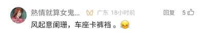 这是一张社交媒体平台的用户评论截图，发布者昵称是“熱情就算女鬼...”，地址显示为广东，发布时间为18小时前。评论内容是“风起意阑珊，车座卡裤裆。”并搭配了一个哭脸表情，前半句是颇具文艺感的古风表述，后半句则是非常接地气的日常尴尬场景，两者形成强烈反差，制造出滑稽搞笑的效果，这条评论目前获得了5个点赞，还设有回复按钮。