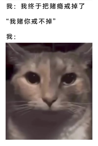 这是一张图文混排的搞笑梗图，通过文字构建了一个充满反差感的趣味场景：首先“我”自豪地宣称自己已经成功戒掉了赌瘾，随即有人抛出一句“我赌你戒不掉”的激将式话语，下方搭配一张眼睛大睁、表情纠结动摇的猫咪图片，以此来具象化“我”听到这句话后的内心状态——原本已经戒掉的赌瘾瞬间被勾起，陷入了要不要接受这个赌局的两难纠结中，用这种荒诞的反差制造笑点，调侃了赌瘾难以彻底戒除的特点，以及这类激将式话语对有赌瘾人群的精准“命中”，让人在发笑的同时也能感受到段子背后对赌瘾的调侃。