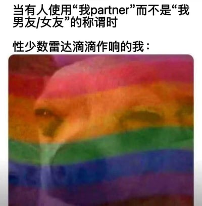图片上方文字描述了当有人使用“我partner”而非“我男友/女友”称谓的情景，下方配有一张面部被彩虹色覆盖的图片。彩虹色是LGBTQ+群体的标志性符号，整体内容通过幽默方式表达了性少数群体对“partner”这一中性称谓的敏锐察觉，如同“雷达”被触发的反应，展现了社群内部对特定语言信号的共鸣。