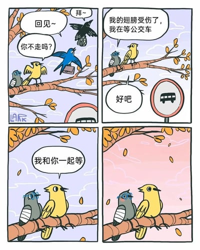 这是一则四格治愈系拟人漫画，故事发生在带有公交站牌的树枝上：第一格中，带着公文包的蓝鸟和准备飞走的黑鸟与同伴告别，蓝鸟询问留在树上的黄鸟“你不走吗？”，黑鸟说着“拜~”飞走，黄鸟回应“回见~”；第二格中，翅膀受伤的灰鸟向黄鸟说明“我的翅膀受伤了，我在等公交车”，蓝鸟回应“好吧”后离开；第三格中，黄鸟对灰鸟说“我和你一起等”；第四格中，天色渐晚，灰鸟害羞得脸红，画面氛围温暖治愈，通过拟人化的小鸟情节，传递出温柔陪伴的善意与温暖。