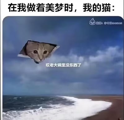 图片上方文字写着“在我做着美梦时，我的猫：”，下方是经PS合成的创意场景——深蓝色暴风雨云层中央破开一个三角形洞口，一只灰白色猫咪的脑袋从洞口探出，眼神锐利直视前方，画面中央叠加文字“哎老大碗里没东西了”。通过夸张的“破次元”视觉效果（猫咪穿透象征美梦的云层），幽默还原宠物猫以“紧急进食需求”打断主人睡眠的经典日常，凸显铲屎官与猫咪间既无奈又温馨的互动关系。