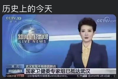 CCTV 13新闻直播间的截图，显示一位新闻主播正在播报关于武汉发现不明原因肺炎的新闻。屏幕上方有"历史上的今天"字样，新闻标题为"武汉发现不明原因肺炎 国家卫健委专家组已抵达武汉"，时间显示为12月31日11:33。