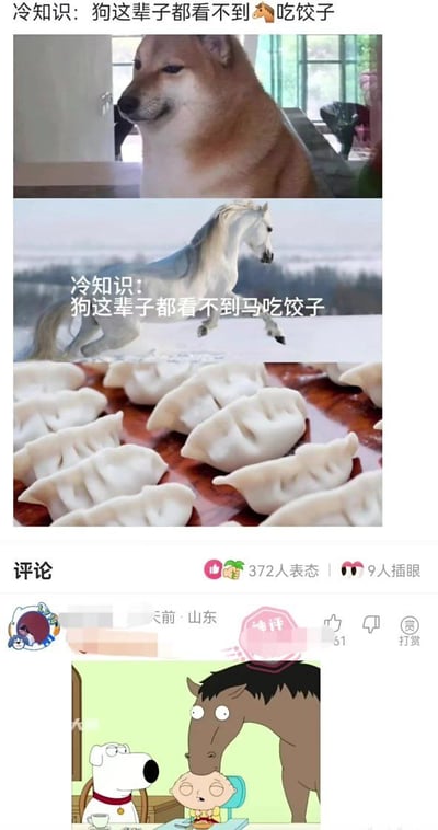 这是一张多图拼接的搞笑梗图，核心通过荒诞的“冷知识”制造幽默效果。顶部以“冷知识：狗这辈子都看不到🐴吃饺子”为标题，下方依次展示三张图片：第一张是室内站立的柴犬特写，第二张是配有相同文字的户外马的照片，第三张是一盘饺子的特写。最下方为评论区截图，包含一幅卡通插图（狗、小孩与马互动场景）。整体内容无实际逻辑，通过“狗看不到马吃饺子”这一毫无关联的陈述，营造无厘头喜剧感。