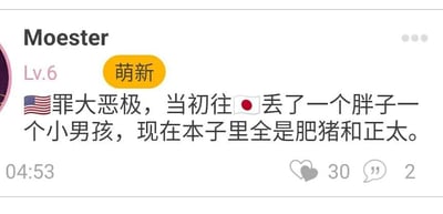 这是一张社交媒体平台的用户动态截图，展示了用户“Moester”（等级为Lv.6，带有“萌新”标识）发布的一条带有玩梗性质的动态。动态中使用美国国旗和日本国旗表情符号，将二战时期美国投放到日本的两颗原子弹的代号“胖子”“小男孩”，与ACG圈相关的“肥猪”“正太”进行关联调侃，内容为“🇺🇸罪大恶极，当初往🇯🇵丢了一个胖子一个小男孩，现在本子里全是肥猪和正太”。动态下方标注发布时间为04:53，还显示该动态获得了30个点赞和2条评论。