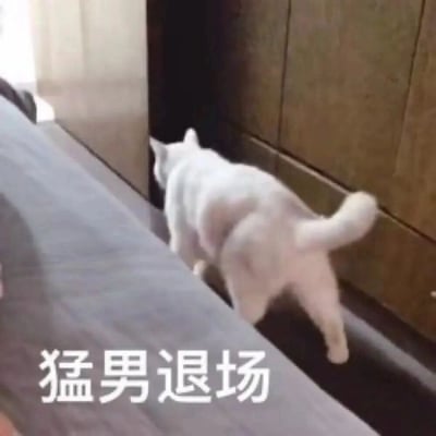 图片中一只通体雪白的猫咪背对着镜头，正低着头走进一个位于木质橱柜之间的深色门洞。猫咪的尾巴自然下垂并微微翘起，四肢迈开，似乎正专注地探索前方的黑暗空间。画面左侧可见部分灰色沙发边缘，地面为深色材质，整体环境像是室内走廊或房间角落。图片底部有一行白色加粗文字“猛男退场”，通过猫咪默默走开的背影与“猛男退场”的戏剧性文字形成反差萌，营造出幽默搞笑的效果。