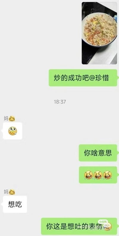 这是一张竖屏的微信聊天记录截图，记录了用户和妈妈之间的趣味对话。用户先发送了一份自己炒制的炒饭图片，@备注为“珍惜”的妈妈询问炒饭是否成功；妈妈回复了一个呕吐🤮表情，用户见状疑惑地质问妈妈是什么意思，并发送了三个笑哭😆表情；随后妈妈回复“想吃”，用户哭笑不得地指出妈妈发的是看起来像想吐的表情，整个对话因表情的误解产生了温馨又搞笑的效果，展现了家人间轻松有趣的日常互动。