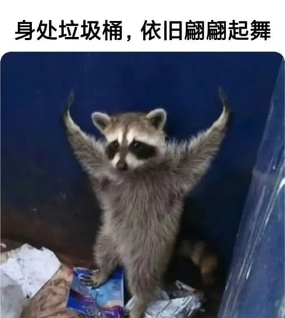 一只浣熊站在垃圾桶中，周围散落着各种垃圾，它直立身体并举起两只前爪，仿佛在跳舞。图片上方配有文字'身处垃圾桶，依旧翩翩起舞'，形成一种反差萌的幽默效果。