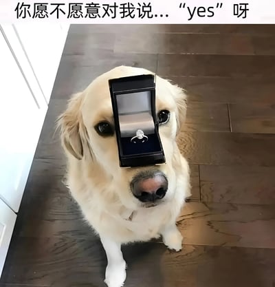 一只金毛犬坐在深色木地板上，鼻子上稳稳顶着一个打开的黑色戒指盒，盒内有一枚镶嵌着大钻石的戒指。图片顶部配有文字“你愿不愿意对我说... 'yes' 呀”，营造出一种可爱的“狗狗向人求婚”的趣味场景，整体风格温馨俏皮，充满萌点。