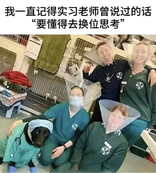 黑色拉布拉多犬