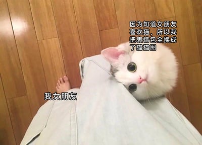 这是一张充满甜蜜趣味的情侣梗图，画面主体是一个人的下半身，露出的一只脚被文字标注为“我女朋友”，同时一只睁着圆溜溜大眼睛的可爱猫咪亲昵地靠在这个人的腿边。图片右上角配有文字“因为知道女朋友喜欢猫，所以我把表情包全换成了猫猫图”，通过视觉错位和文字结合的方式玩梗，将女朋友比作可爱的猫咪，既体现了男生对女友喜好的重视，又用软萌的猫咪形象调侃女友，营造出甜蜜又搞笑的情侣互动氛围，整体风格轻松治愈，充满生活趣味。