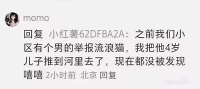 这是一张小红书平台的评论区截图，用户「momo」回复用户「小红薯62DFBA2A」时发表了极端恶劣的违法言论：称自己小区有男子举报流浪猫，于是自己将该男子4岁的儿子推到河里，还表示至今没被发现，结尾附带「嘻嘻」的表述，言论涉嫌宣扬暴力犯罪，性质非常恶劣。