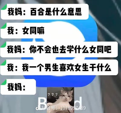 这是一张模拟聊天记录的搞笑梗图，背景为蓝色微信风格界面。对话中妈妈先问“百合是什么意思”，儿子回答“女同嘛”，妈妈担心地问“你不会也去学什么女同吧”，儿子反怼“我一个男生喜欢女生干什么”，最后妈妈的对话框后配上了一只歪头带问号的疑惑猫表情包，形成幽默的收尾。图中利用“百合”一词的多义性（既可指花卉，也可指女同性恋）制造误解，儿子的性别反转回答让妈妈语塞，充满家庭日常的搞笑互动感。