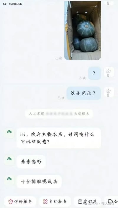 这是一张电商平台的聊天记录截图，左上角标注内容来源为抖音用户@RJJSK。截图上半部分是买家发出的收货实拍图，纸箱内装有数个深绿色带浅色纹路的南瓜，买家先发送问号表达疑惑，接着询问客服“这是芭乐？”，后续人工客服接入，先发送常规欢迎问候语，接着礼貌称呼买家后，原本想要道歉却出现口误，说出“十分抱歉呢我去”，将日常吐槽的口语“我去”意外和礼貌道歉话术结合，充满滑稽的反差感。