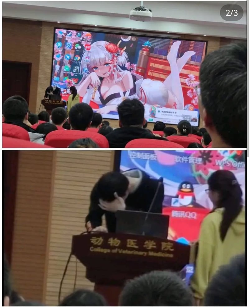 绫波