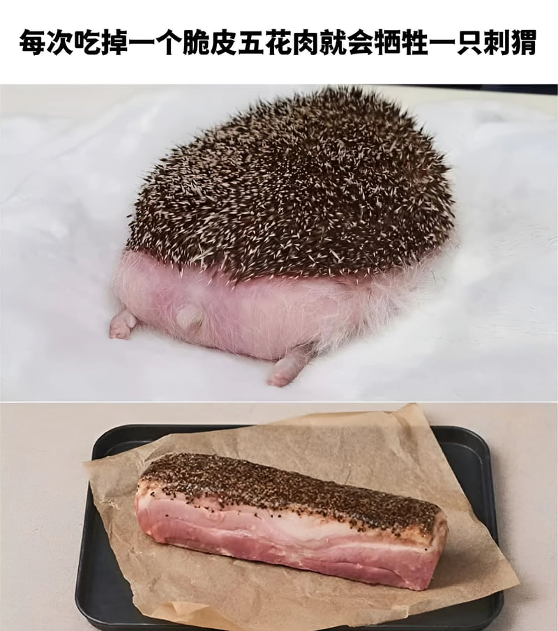 刺猬