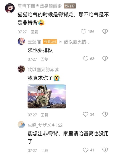 社交媒体评论区截图，展示了网友围绕“猫猫哈气时像脊背龙，不哈气是不是非脊背”的谐音梗展开的趣味互动。顶部用户“眉毛下面当然是眼睛啦”发布核心玩梗内容，随后“玉藻喵”“致以磨灭的赤诚”“虫鸣_サザメキ162”等用户以幽默语气回复，其中“致以磨灭的赤诚”还附上了《JoJo的奇妙冒险》中迪奥·布兰度呐喊“你给路达哟~”的经典截图，整体氛围轻松搞笑，充满网络迷因文化特色。