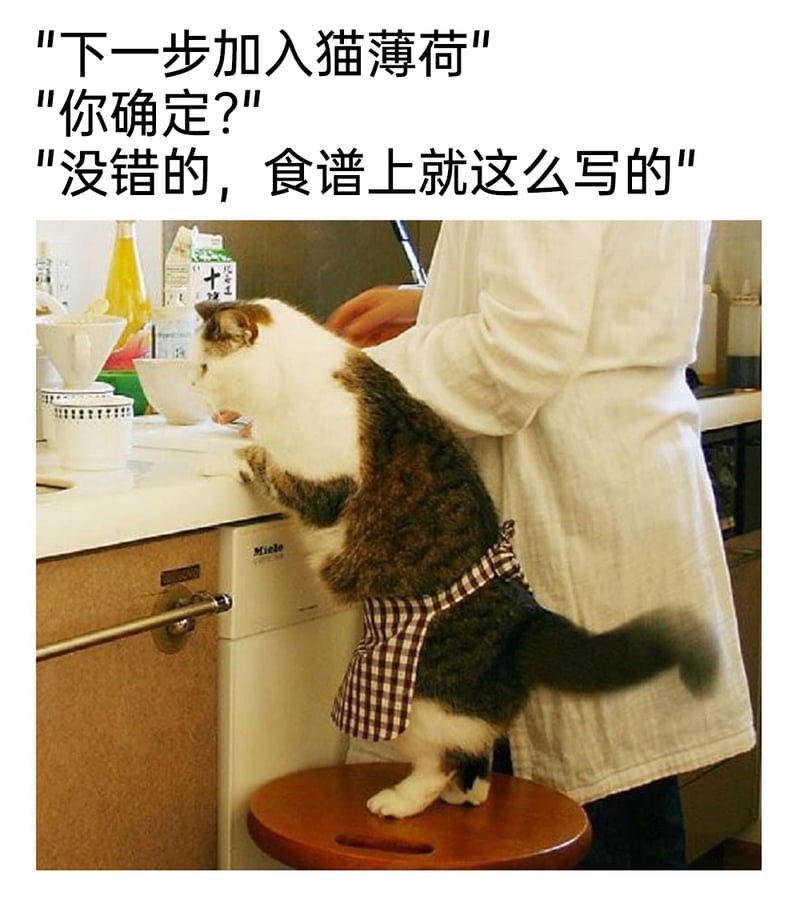 烹饪助手