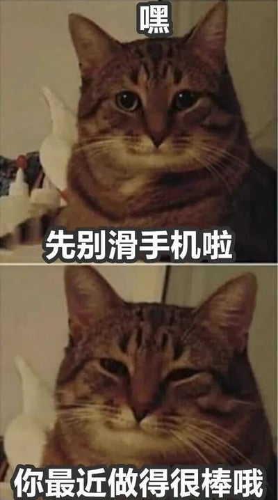 这是一张上下拼接的猫咪梗图，上方图片中一只虎斑猫表情严肃地看着镜头，头顶有“嘿”的文字，下方配有“先别滑手机啦”的提示文字。下方图片中同一只猫咪眨着一只眼睛，露出微笑表情，下方配有“你最近做得很棒哦”的鼓励文字。整体通过猫咪表情的变化和温馨的文字内容，营造出一种亲切的鼓励氛围，提醒人们暂时放下手机并给予积极肯定。