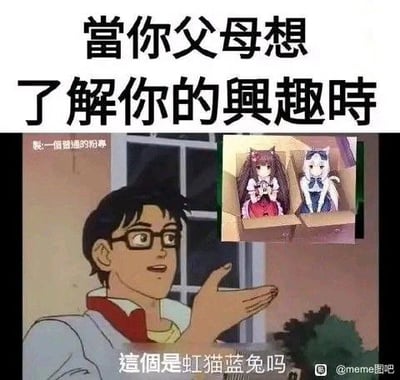 这是一张二次创作的搞笑表情包，整体为图文混排形式，顶部配大字“當你父母想了解你的興趣時”，下方主体是老动画中的戴眼镜男性角色，他伸出手掌朝向一旁的纸箱，纸箱中放有游戏《猫娘乐园》的两位主角巧克力、香子兰的立绘形象，底部配文“這個是虹猫蓝兔吗”，用父母辈对二次元内容认知不足、将面向爱好者的猫娘角色错认为国产少儿动画《虹猫蓝兔七侠传》角色的反差，生动调侃了代际之间对兴趣爱好的认知差异，笑点源于认知错位带来的荒诞感，很容易引发二次元爱好者的共鸣。