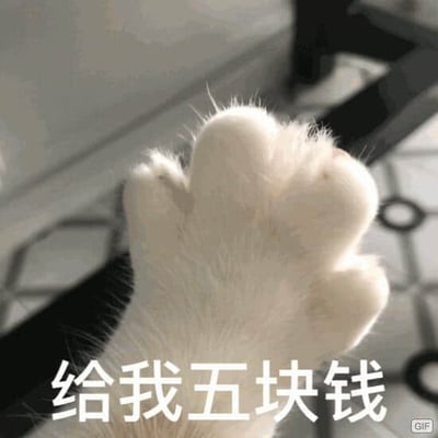 图片特写展示一只白色猫咪的肉垫爪子，毛茸茸的质感清晰可见，爪子微微向前伸出，仿佛在做出讨要的动作。图片底部有白色文字“给我五块钱”，结合猫咪可爱的爪子形成幽默效果，场景疑似室内瓷砖地面环境，整体风格俏皮有趣。