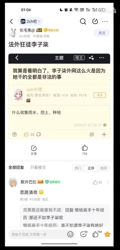 这是一张百度贴吧2ch吧的竖屏截图，用户“长毛兔@”发布了标题为《法外狂徒李子柒》的帖子，内容是转发用户“cyh宇原”的言论，该言论称李子柒在外网走红是因为她做的收集雨水、挖土、种地都是非法的事，这种明显不符合常识的荒诞观点获得了754个点赞。下方评论区中，用户“默许巴拉”评论“思路清奇”获得43个点赞，还有其他网友在回复区表达对李子柒的不同看法，部分网友表示不理解李子柒的受欢迎之处，也有网友进行反驳，整体是论坛中针对李子柒的无厘头讨论内容。