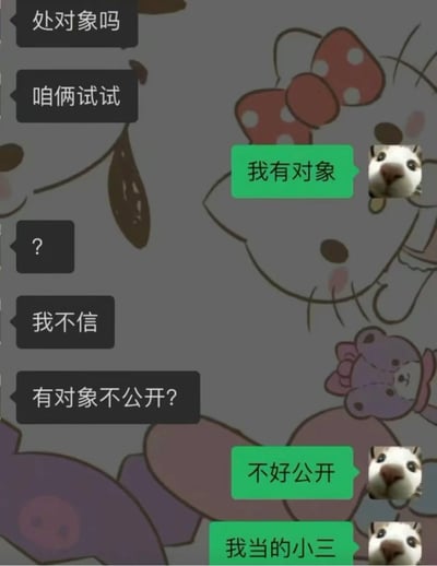这是一张模拟聊天记录的梗图，左侧黑色对话框发起追求：“处对象吗”“咱俩试试”，在对方（右侧绿色对话框）回应“我有对象”后仍质疑“我不信”“有对象不公开？”，最终对方语出惊人：“不好公开，我当的小三”。右侧每个回复都配有一张表情惊讶的真实小动物（疑似鼬科）面部特写，背景为模糊的卡通角色图案（带有红色波点蝴蝶结等元素），整体通过对话反转制造搞笑效果。