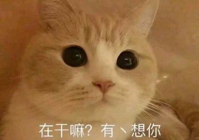 图片为一只浅橘色虎斑猫的特写，猫咪有着又大又圆的黑色眼睛，正直勾勾地凝视着镜头，表情呆萌无辜。图片底部有白色文字：“在干嘛？有丶想你”，整体营造出一种可爱、温柔的氛围，常用于表达对他人的思念之情。