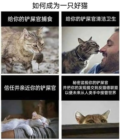 一张四格拼图形式的搞笑梗图，标题为'如何成为一只好猫'。上左图是嘴里叼着老鼠的虎斑猫，配文'给你的铲屎官捕食'；上右图是虎斑猫舔舐人类脸颊，配文'给你的铲屎官清洁卫生'；下左图是白猫在人手臂上熟睡，配文'信任并亲近你的铲屎官'；下右图是猫从窗台后探出头监视，配文'秘密监视你的铲屎官并把你的发现提交到反猫德联盟以便未来从人类手中接管世界'。通过前三格温馨日常与最后一格反转剧情形成幽默反差。