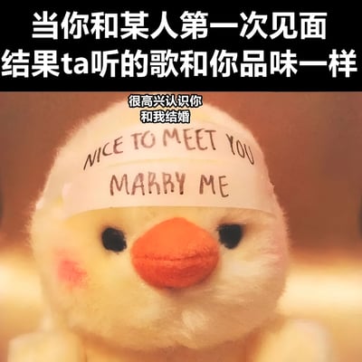 图片上方有白色文字“当你和某人第一次见面 结果ta听的歌和你品味一样”，下方是一只黄色毛绒小鸭子玩偶，其额头贴着一张手写纸条，上面用英文写着“NICE TO MEET YOU MARRY ME”，纸条上方配有中文对白“很高兴认识你 和我结婚”。整体通过夸张的方式幽默展现了人们在初次见面发现对方与自己音乐品味相同时的激动反应，从礼貌问候直接跳跃到“求婚”，形成喜剧效果。