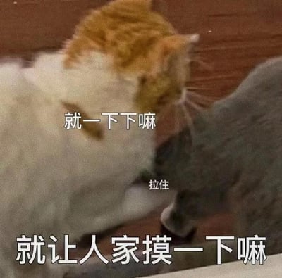 图片中两只猫咪在木地板上互动，橘白相间的猫咪正亲昵地靠近灰色猫咪，似乎想触摸对方。画面上方配有文字“就一下下嘛”，中间标注“拉住”，底部则是“就让人家摸一下嘛”，将猫咪的互动拟人化为撒娇求摸的场景，橘白猫表现出期待和恳求的姿态，而灰猫则像是在轻微抗拒或躲避，整体氛围可爱又搞笑。