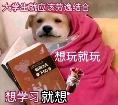 这是一张经过P图改编的静态搞笑表情包，画面主体是一只被粉色毯子裹住的狗狗，狗狗表情慵懒，带着一丝躺平的无奈感，它的身旁摆放着一本名为《如何3天拿下60分》的书籍和一杯带装饰的饮品。图片上分布着三段调侃性文字：顶部的“大学生就应该劳逸结合”，右侧的“想玩就玩”，底部的“想学习就想”，结合书籍的内容，精准且幽默地刻画了当代大学生既渴望尽情玩耍，又在学习上抱有临时抱佛脚、侥幸及格的心态，用戏谑的方式戳中大学生日常学习与生活的矛盾状态。