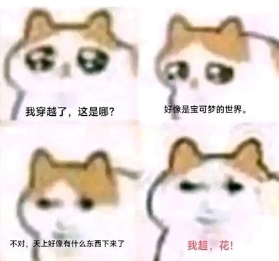 这是一张四格连环的图文混排meme图，以知名的“悲伤猫猫头（mur猫）”表情包为视觉主体，通过四格的表情变化和对话内容构建了一个反转笑点。第一格中，猫猫头带着疑惑的神情，配文“我穿越了，这是哪？”，营造出穿越的初始场景；第二格猫猫头表情略带了然，配文“好像是宝可梦的世界”，引导观众联想到充满奇幻冒险的宝可梦世界观；第三格猫猫头重新露出疑惑，配文“不对，天上好像有什么东西下来了”，制造悬念；第四格猫猫头表情转为震惊，配文“我超，花！”，这里运用了谐音梗，“花”指代年轻人熟悉的“花呗”，原本期待的奇幻穿越场景瞬间反转成现实中需要偿还花呗的窘迫处境，用这种强烈的反差感来调侃当代年轻人被花呗等负债困扰的生活现状，幽默又贴近现实。
