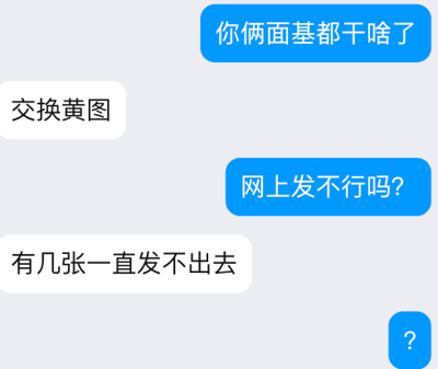 这是一张竖版即时通讯聊天记录截图。画面采用浅灰色背景，右侧为蓝色气泡消息，左侧为白色气泡消息。对话中，蓝色气泡用户好奇地询问“你俩面基都干啥了”，白色气泡用户淡定回答“交换黄图”。蓝色气泡用户感到不解，继续追问“网上发不行吗？”，对方则解释“有几张一直发不出去”。这个回答形成笑点：由于部分图片在网上发送时会被拦截或发送失败，两人干脆选择线下见面时直接交换。最后蓝色气泡用户只发出一个问号，表现出无语、疑惑和震惊。截图中没有出现真实人物、地标或 explicit 图像，只有文字对话。