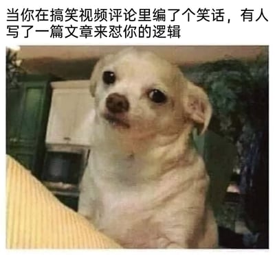 这是一张文字加注类的静态梗图，上方配文“当你在搞笑视频评论里编了个笑话，有人写了一篇文章来怼你的逻辑”，图中主体是一只浅色吉娃娃，它眼神困惑、表情懵懂，神态带着无语和错愕。这张图精准还原了用户在网络社交场景中，本来只是在搞笑视频评论区玩梗编笑话，却遇到有人过度较真，用长篇大论来挑逻辑错误时的错愕与无奈心情，是对网络上不懂玩梗、过度较真行为的调侃，这类场景常见于抖音、B站等短视频平台的评论区。
