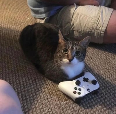 一只虎斑加白猫咪趴在纹理粗糙的地毯上，前爪旁放着一个白色Xbox游戏手柄，头部微微抬起，眼睛瞪得圆圆的直视镜头，耳朵竖起显得十分警觉。猫咪身旁有一个穿着卡其色工装短裤和蓝色上衣的人，腿部自然弯曲，营造出居家休闲的氛围。画面整体温馨有趣，展现了宠物与人类生活场景的可爱互动。