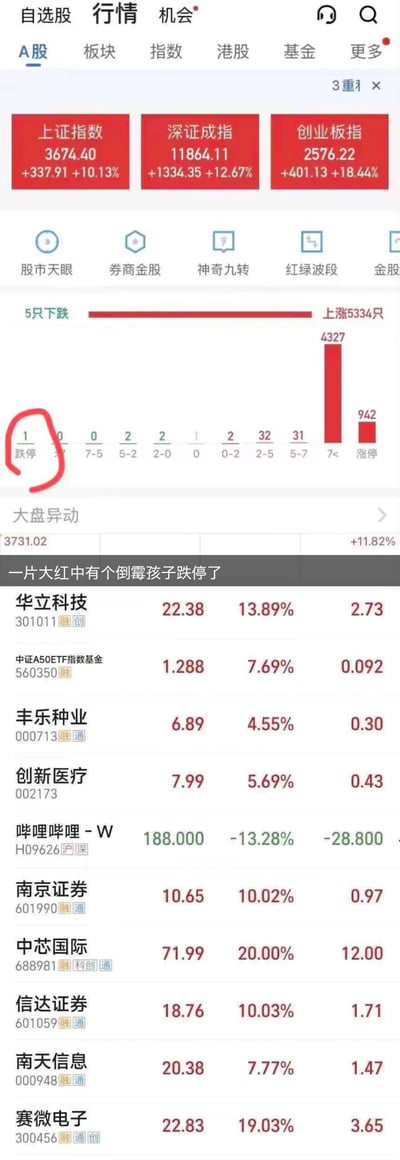 这是一张股票行情软件的竖屏截图，展示了A股极端普涨的罕见行情：上证指数报3674.40点，涨幅达10.13%；深证成指报11864.11点，涨幅12.67%；创业板指报2576.22点，涨幅18.44%。全市场仅5只股票下跌，其中1只跌停，4327只股票涨幅超7%，942只股票涨停。下方个股列表中，仅有哔哩哔哩-W（H09626）逆市大跌13.28%，图中用红圈标注跌停的1只股票，并配文“一片大红中有个倒霉孩子跌停了”，以戏谑的语气调侃在普涨行情里独树一帜下跌的个股，充满强烈的反差感。